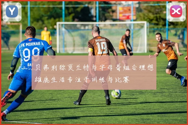 贝弗利称莫兰特与字母哥组合理想雄鹿生活专注于训练与比赛